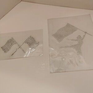 Color Guard Set of 2 Rhinestone Iron on Transfer Hot Fix Bling Sports School